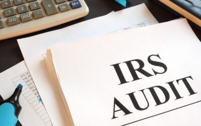 Understanding Audit Defense: How to Prepare Your Business for Regulatory Scrutiny